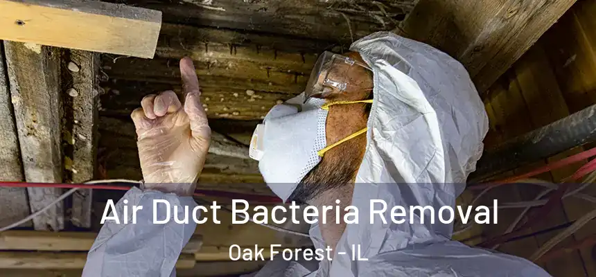 Air Duct Bacteria Removal Oak Forest - IL