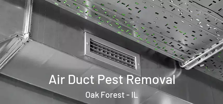 Air Duct Pest Removal Oak Forest - IL