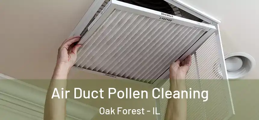 Air Duct Pollen Cleaning Oak Forest - IL