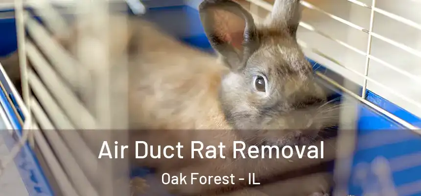 Air Duct Rat Removal Oak Forest - IL