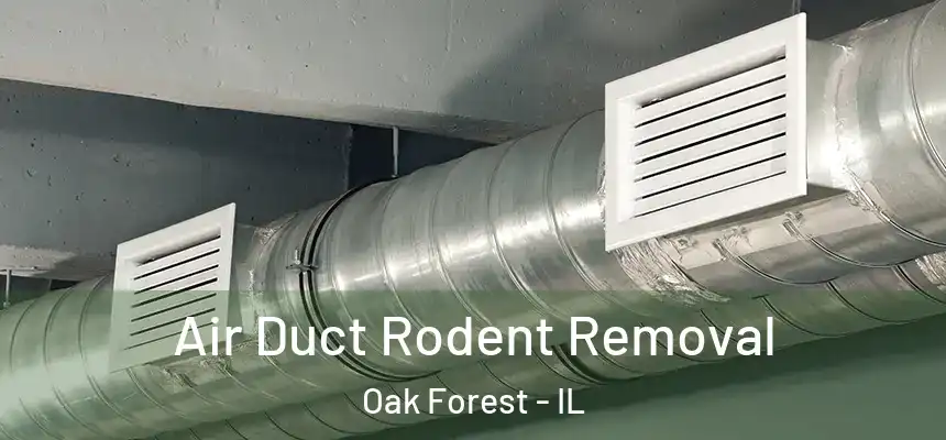 Air Duct Rodent Removal Oak Forest - IL