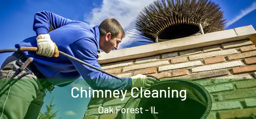 Chimney Cleaning Oak Forest - IL