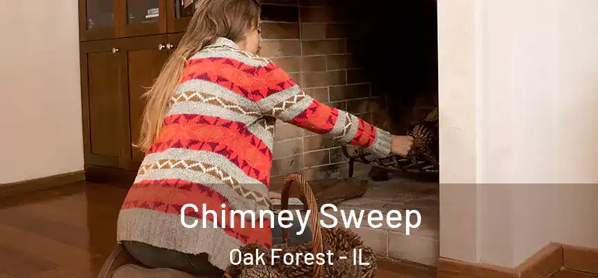 Chimney Sweep Oak Forest - IL
