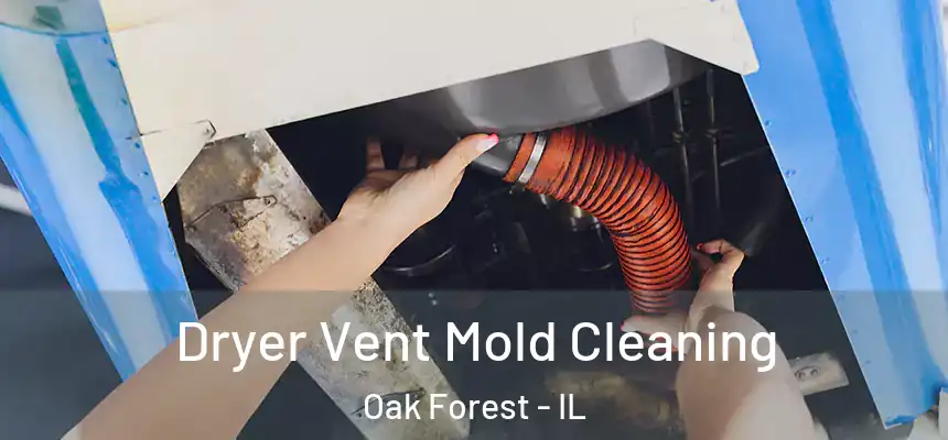 Dryer Vent Mold Cleaning Oak Forest - IL