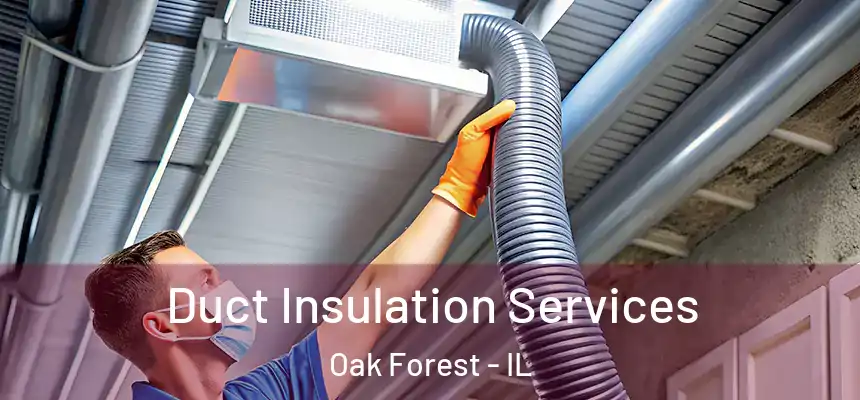 Duct Insulation Services Oak Forest - IL