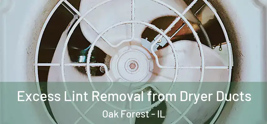  Excess Lint Removal from Dryer Ducts Oak Forest - IL