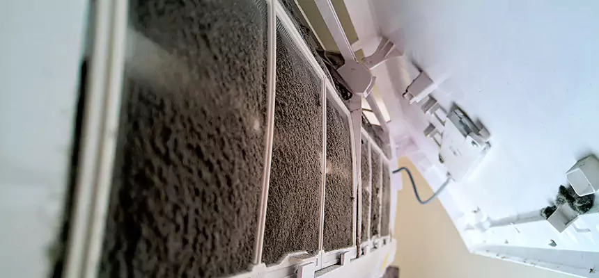 Preventive Air Duct Bacteria Removal in Oak Forest