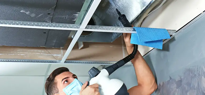 Our Air Duct Rodent Removal Services in Oak Forest, IL
