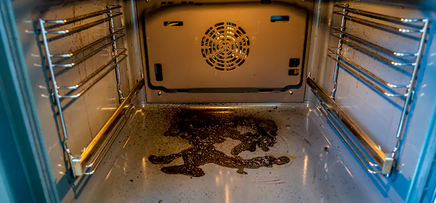 Our Dryer Vent Mold Cleaning Services in Oak Forest, IL