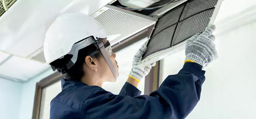 Our Mold & Mildew Removal from Air Ducts Services in Oak Forest, IL