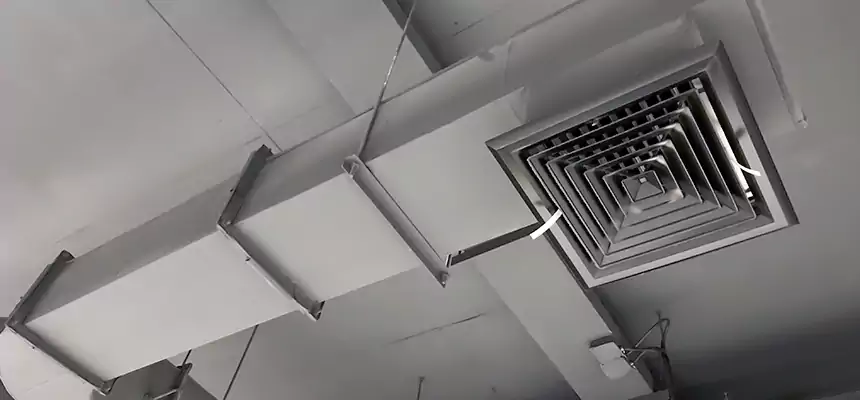 Our Pest Removal From Ducts Services in Oak Forest, IL