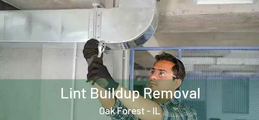 Lint Buildup Removal Oak Forest - IL