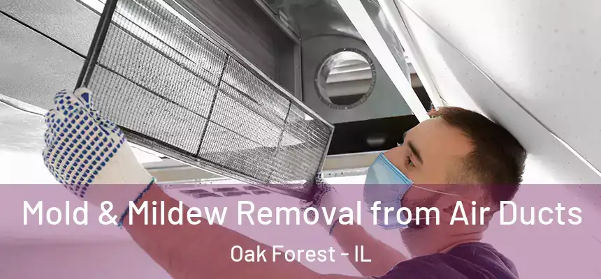 Mold & Mildew Removal from Air Ducts Oak Forest - IL