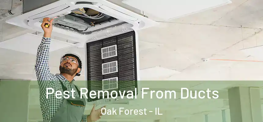 Pest Removal From Ducts Oak Forest - IL