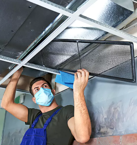 About Air Duct Bacteria Removal in Oak Forest