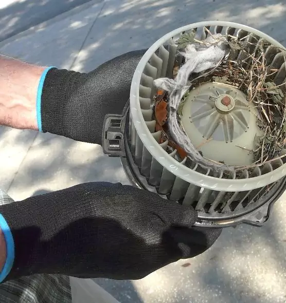 About Air Duct Mice Removal in Oak Forest, IL