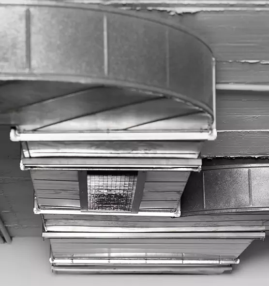 Professional Air Duct Pet Hair Removal in Oak Forest, IL