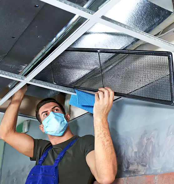 Professional Air Duct Pollen Cleaning in Oak Forest, IL