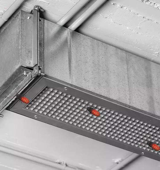 Affordable Insect Removal from Air Ducts in Oak Forest, IL