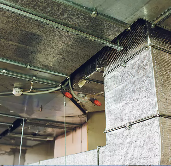 Why Homeowners & Businesses Trust Us in Oak Forest, IL?