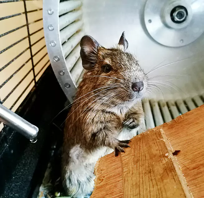 Why Homeowners & Businesses Trust Us Oak Forest, IL