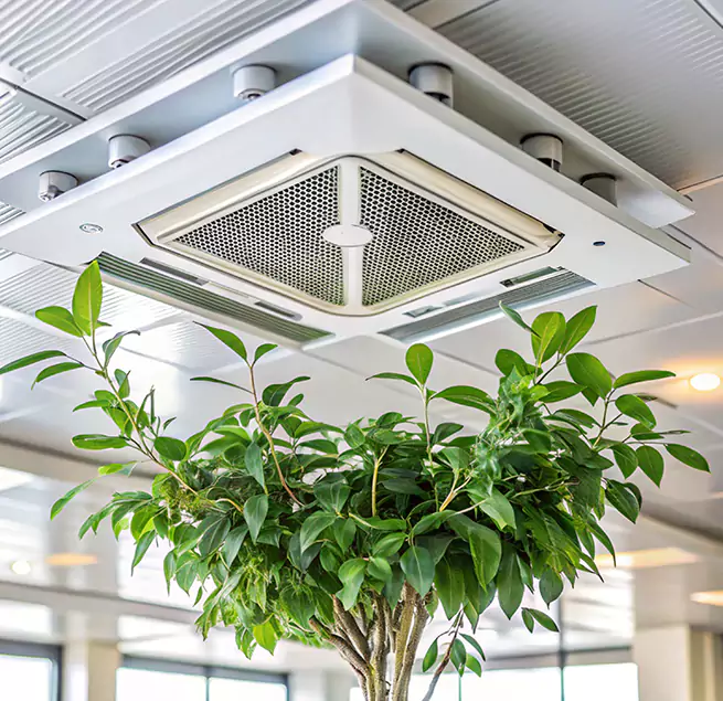 Why Homeowners & Businesses Trust Us in Oak Forest, IL