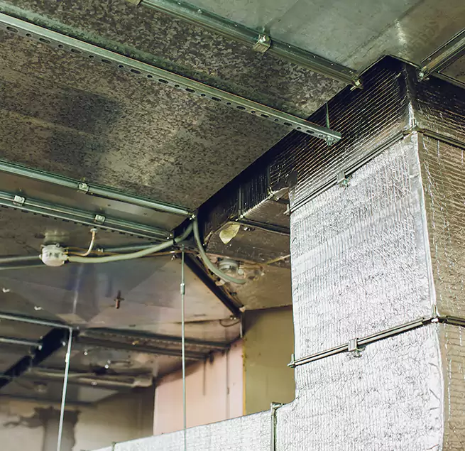 Why Homeowners & Businesses Trust Us in Oak Forest, IL?